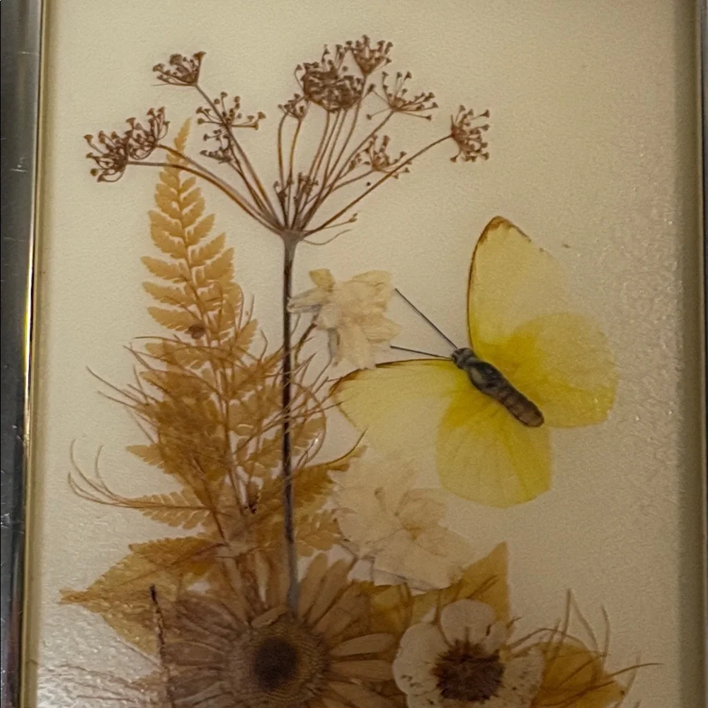 SOLD • Framed Dried Flower and Butterfly Collage Decoupage Small - Picture 5 of 12
